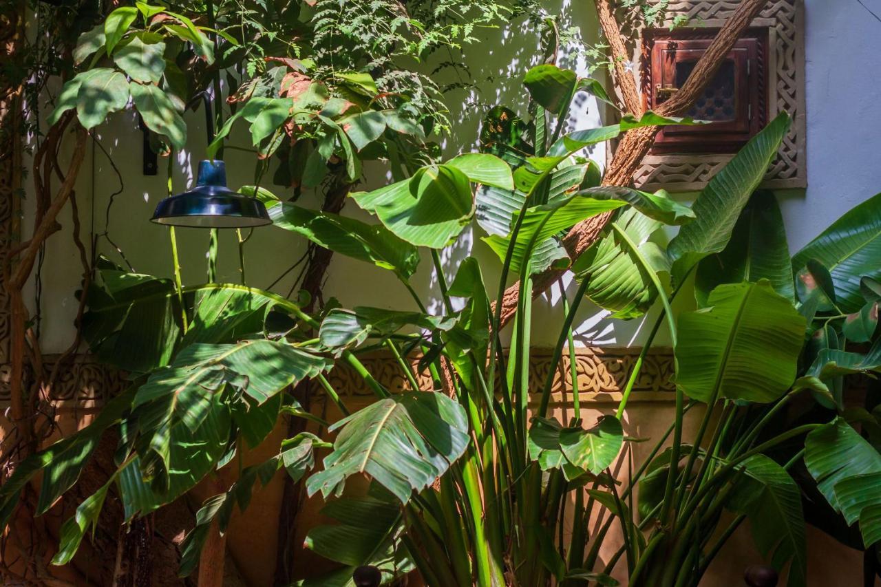 Riad Dombaraka Marraquexe Exterior foto